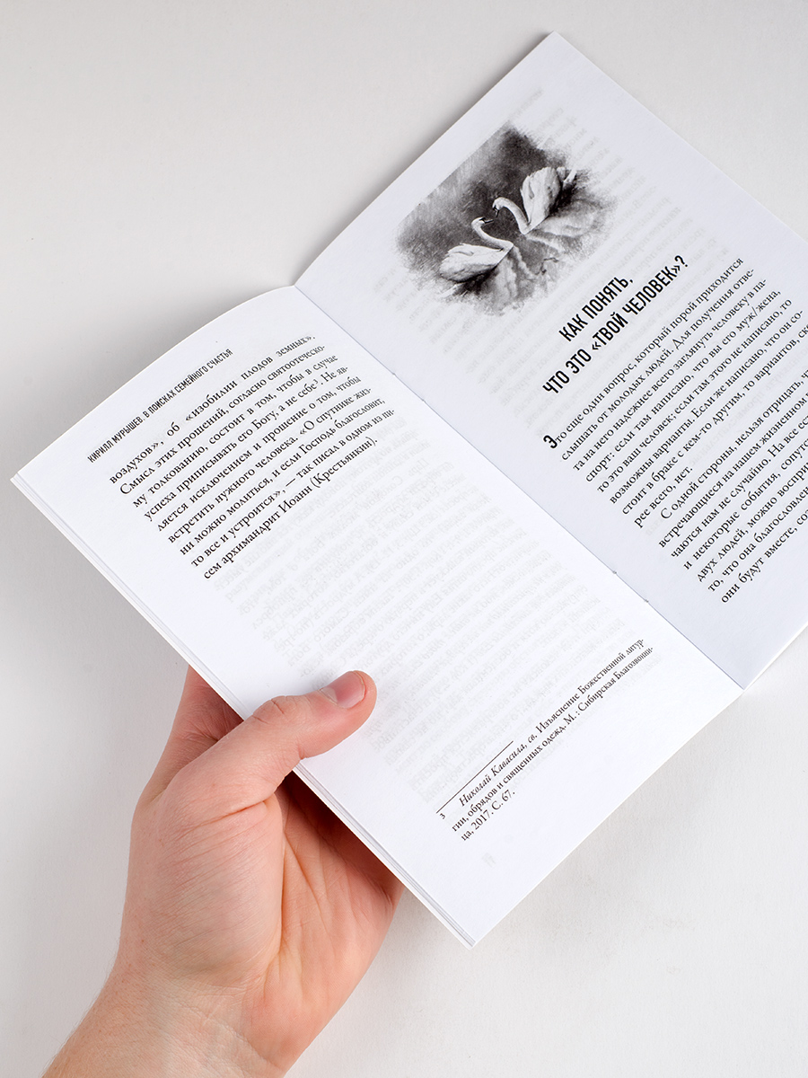 В поисках семейного счастья. Автор: Мурышев Кирилл. Издательство "Вольный Странник"