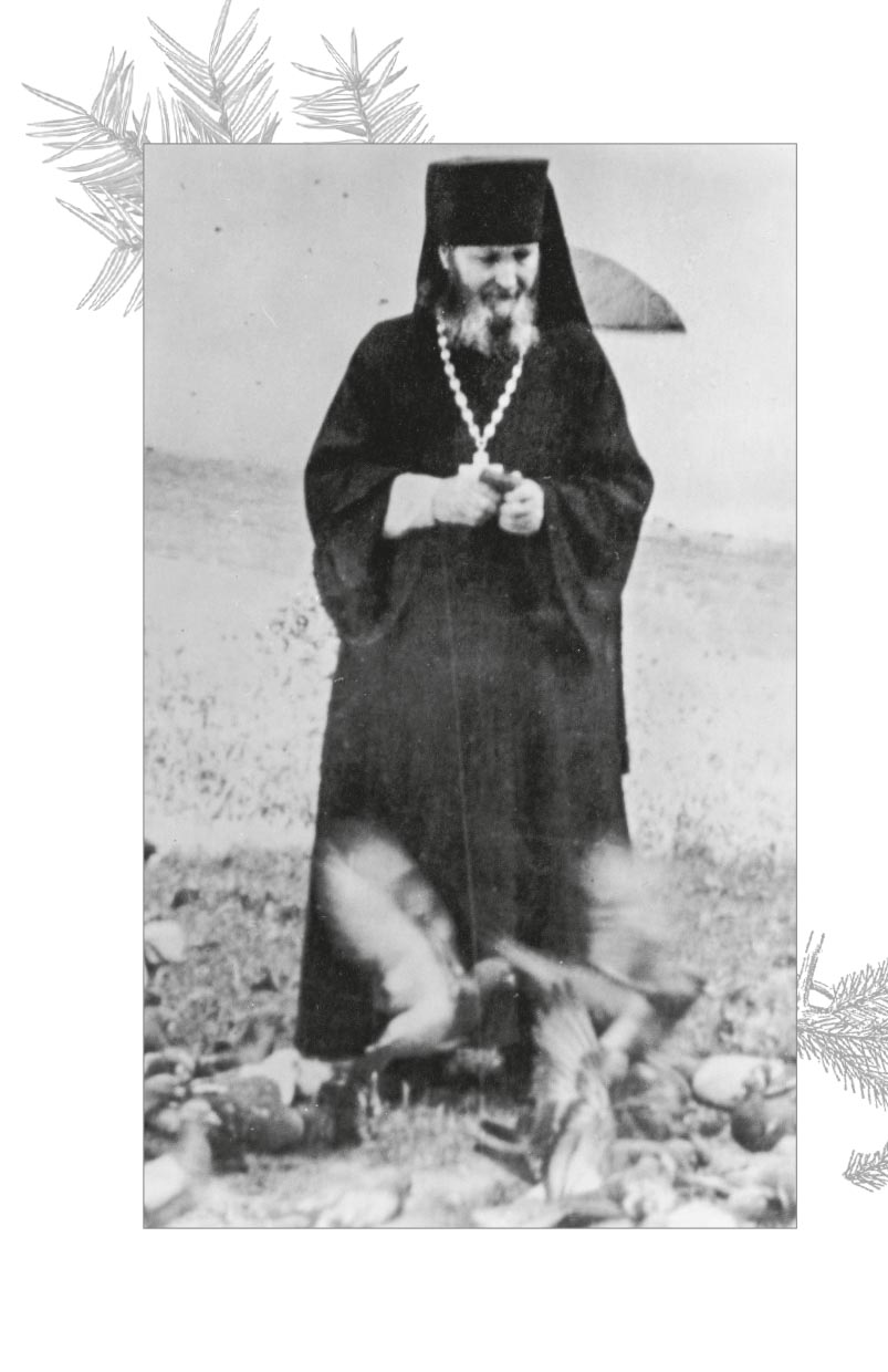 Молитвенно с вами… Жизнеописание и поучения схиигумена Саввы (Остапенко). Автор: . Издательство "Вольный Странник"