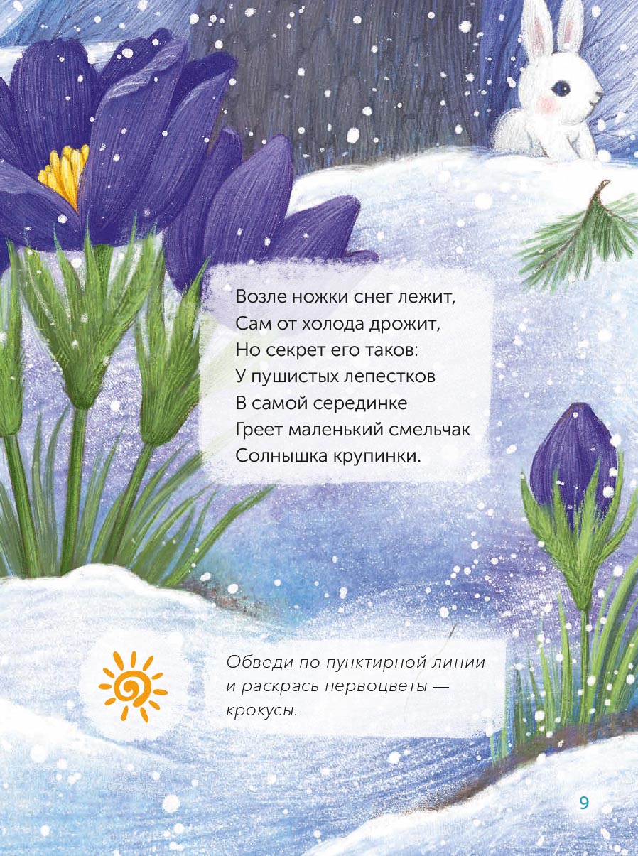 Чудеса живут повсюду. Автор: Снежкова Анжелла. Издательство "Вольный Странник"