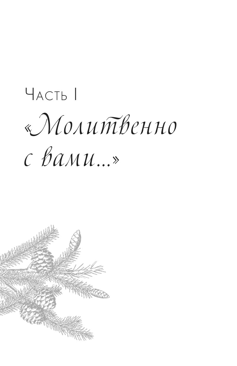 Молитвенно с вами… Жизнеописание и поучения схиигумена Саввы (Остапенко). Автор: . Издательство "Вольный Странник"
