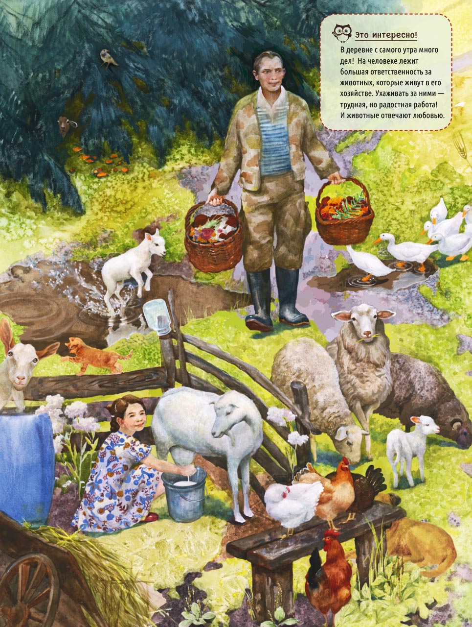 По лесным тропинкам. Автор: . Издательство "Вольный Странник"