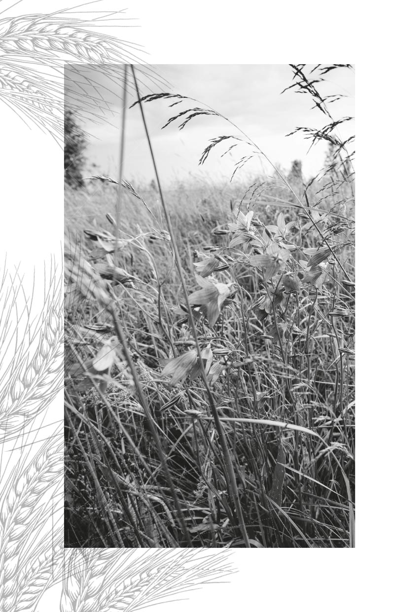 Да не смущается сердце ваше…. Автор: митрополит Афанасий Лимасольский (Николау). Издательство "Вольный Странник"