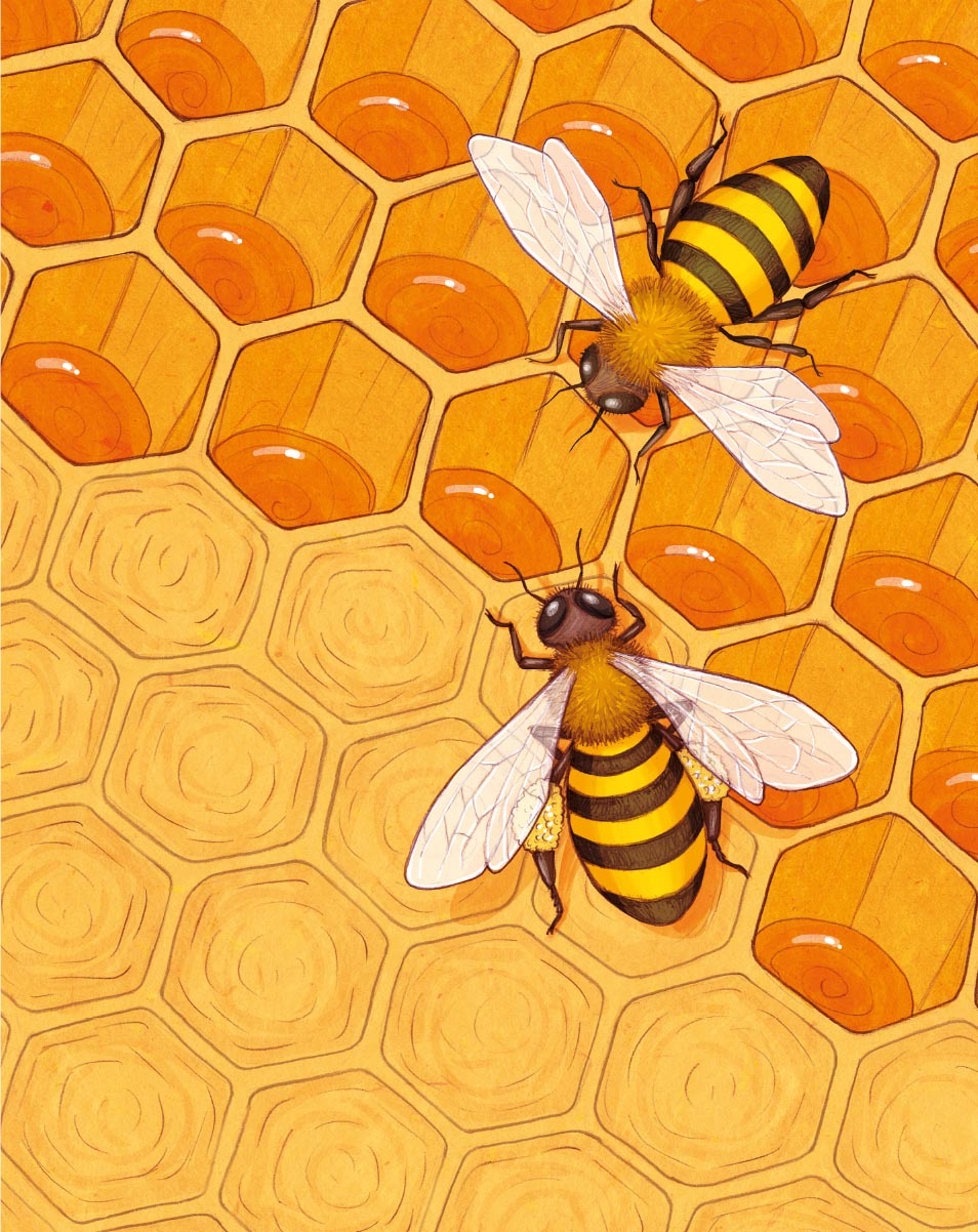 Элизабет Криспина Джонсон «В пламени свечи». Автор: Элизабет Криспина Джонсон. Издательство "Вольный Странник"