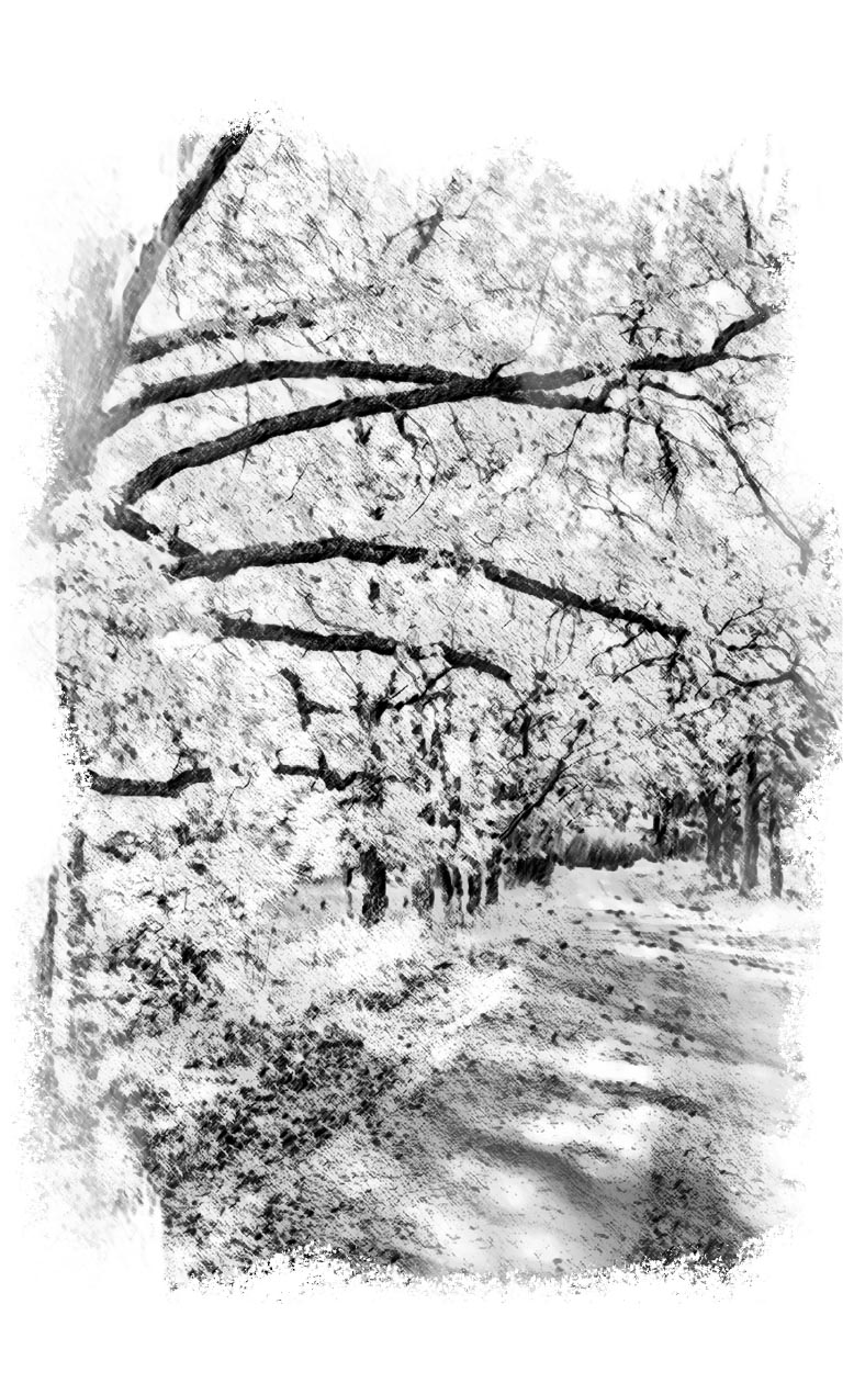 Утешение. Повесть. Гаврилов Николай. Автор: Гаврилов Николай. Издательство "Вольный Странник"