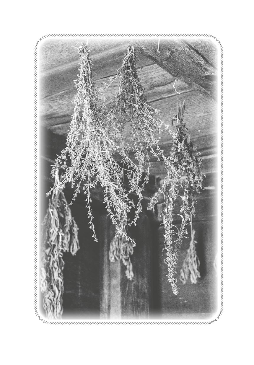 Скорые помощники в болезнях. Советы святых старцев и духовников. Автор: . Издательство "Вольный Странник"