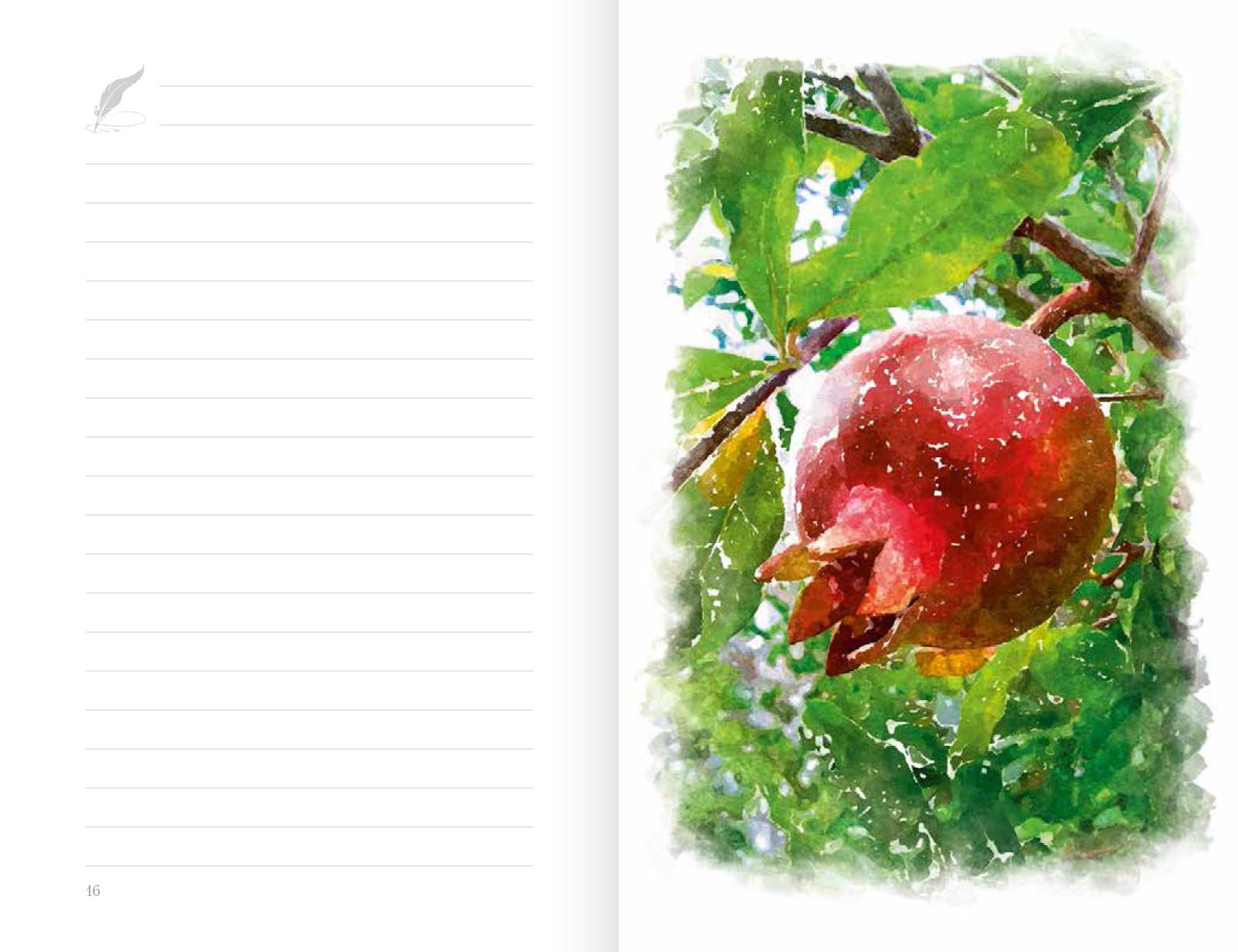 Святая земля Крым. Блокнот с цитатами великих людей. ВЕСНА МАКИ. Автор: . Издательство "Вольный Странник"