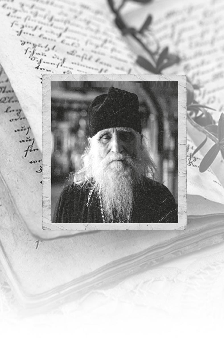 Святая простота. Старец Николай Гурьянов. Автор: Людмила Ильюнина. Издательство "Вольный Странник"