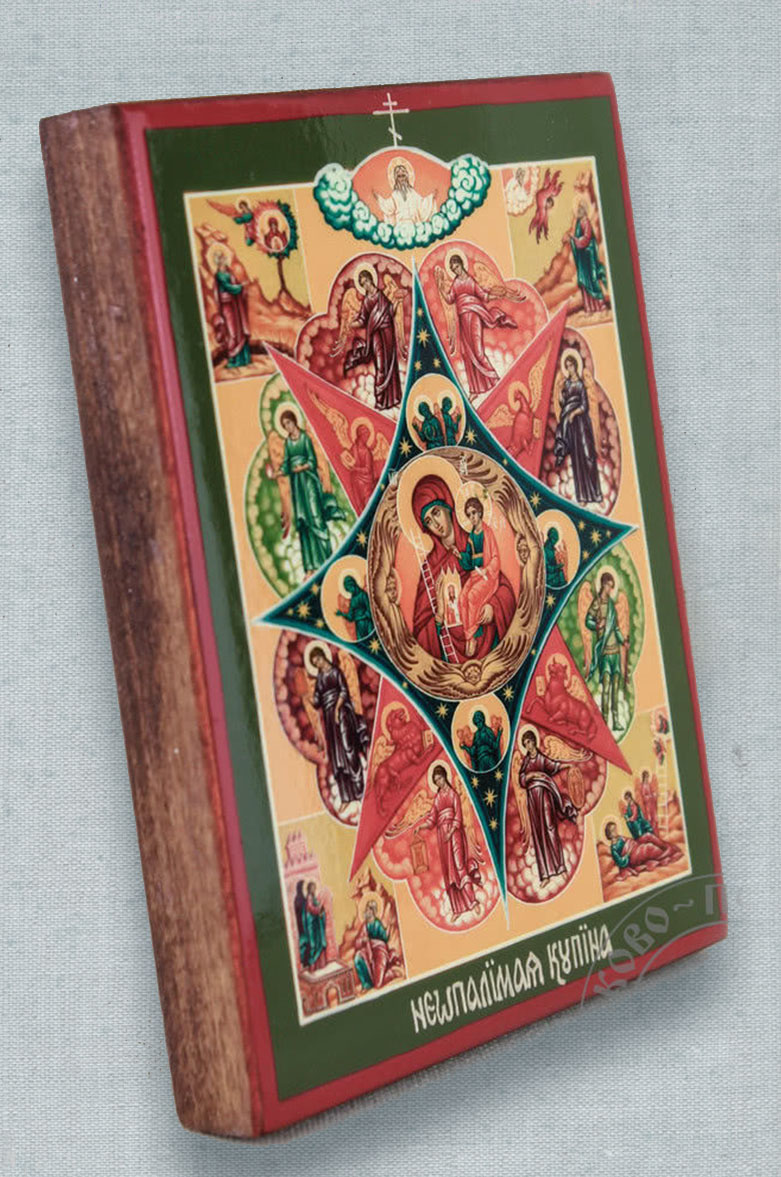 Икона Божией Матери «Неопалимая купина» 11х14 см. Автор: . Издательство "Вольный Странник"