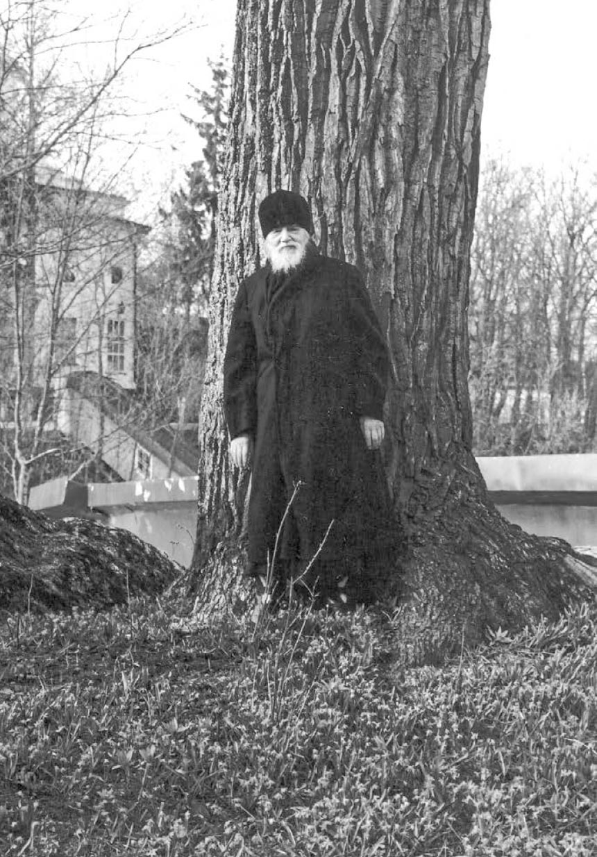 Радовать и радоваться. Автор: . Издательство "Вольный Странник"