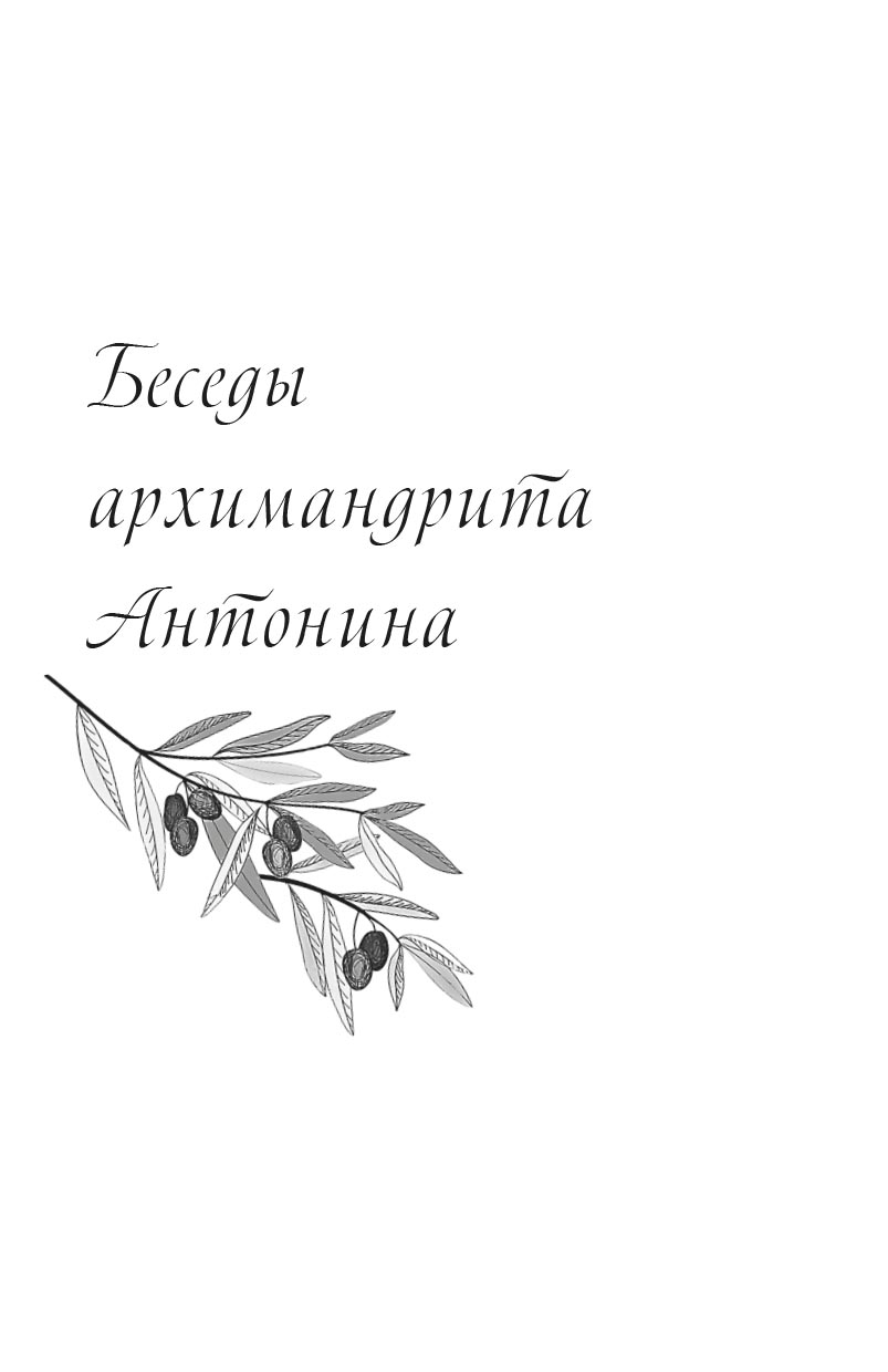 Примиритесь с Богом! Беседы на Святой Земле. Архимандрит Антонин (Капустин). Автор: архимандрит Антонин (Капустин). Издательство "Вольный Странник"