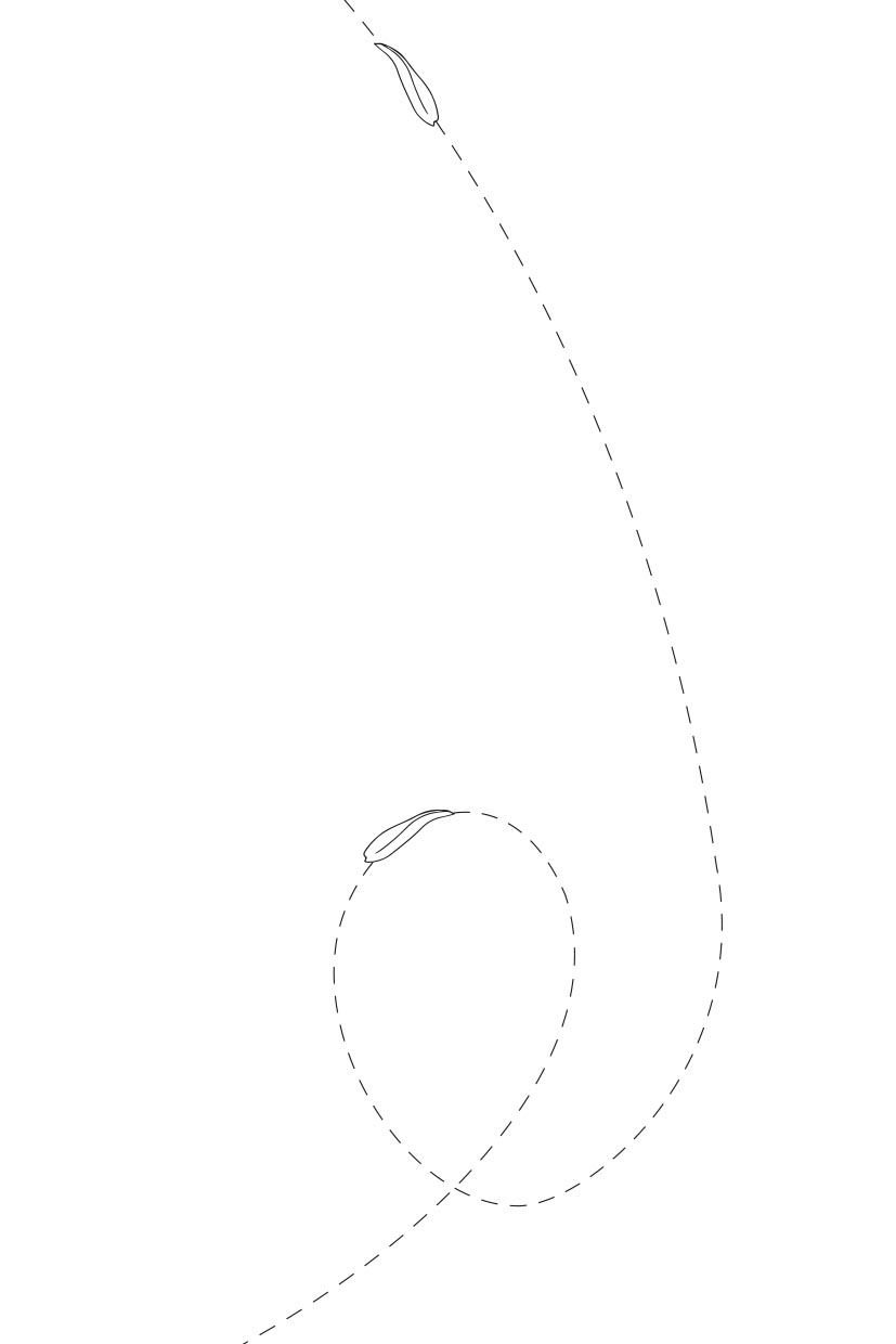 Любовь – это.... Автор: Григорий и Анастасия Сайфуллины. Издательство "Вольный Странник"