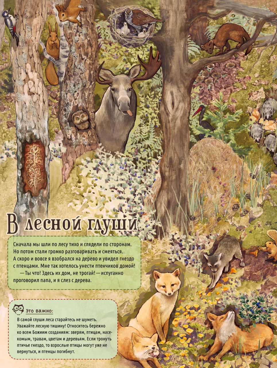 По лесным тропинкам. Автор: . Издательство "Вольный Странник"