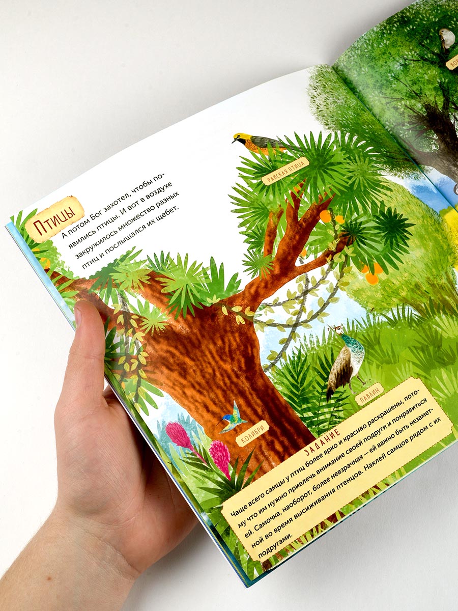 Дни творения. Книга с наклейками.. Автор: Татьяна Копяткевич . Издательство "Вольный Странник"