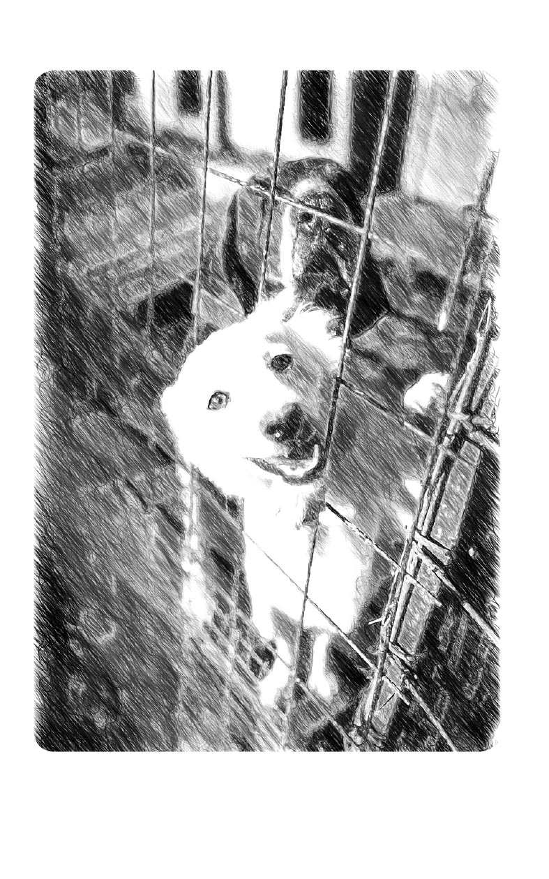 С Матронушкой. Роман-притча. Ирина Ордынская.. Автор: Ирина Ордынская. Издательство "Вольный Странник"