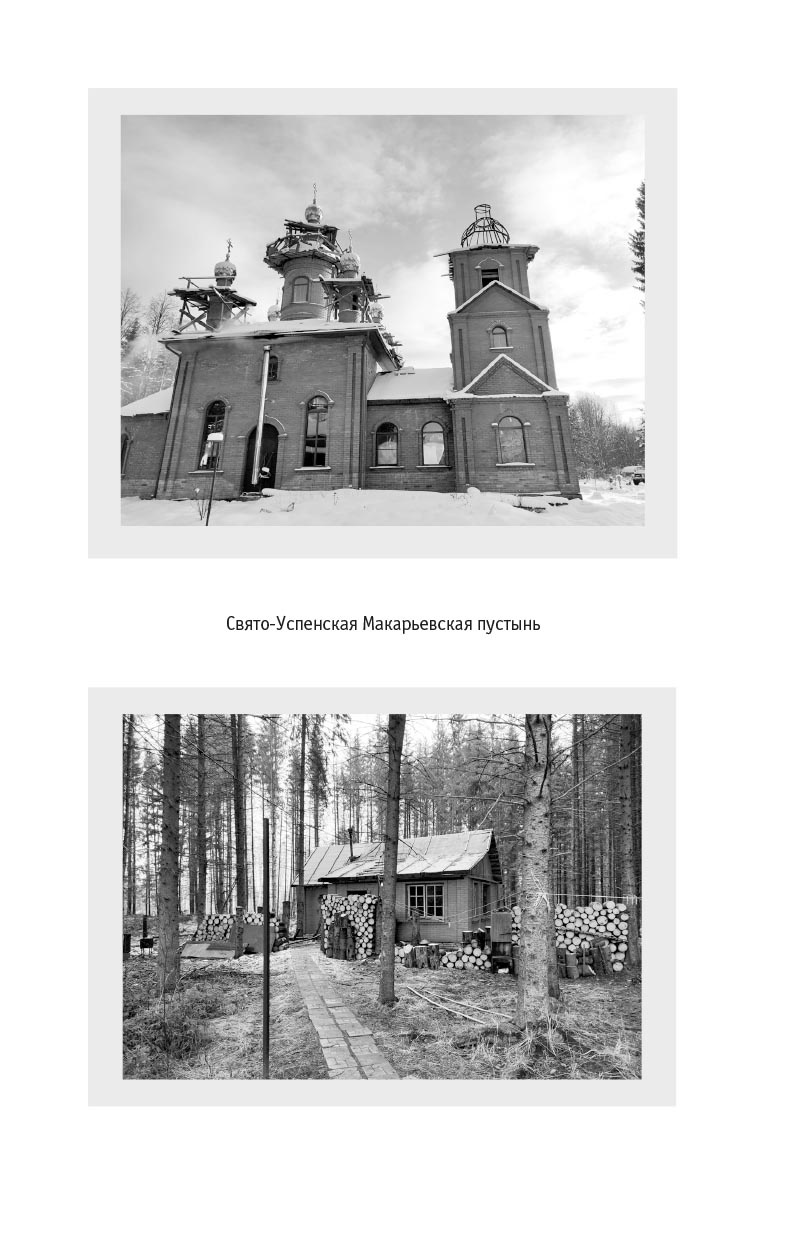 "Я - жив…". Архимандрит Афиноген (Агапов). Диакон Георгий Малков. Автор: . Издательство "Вольный Странник"