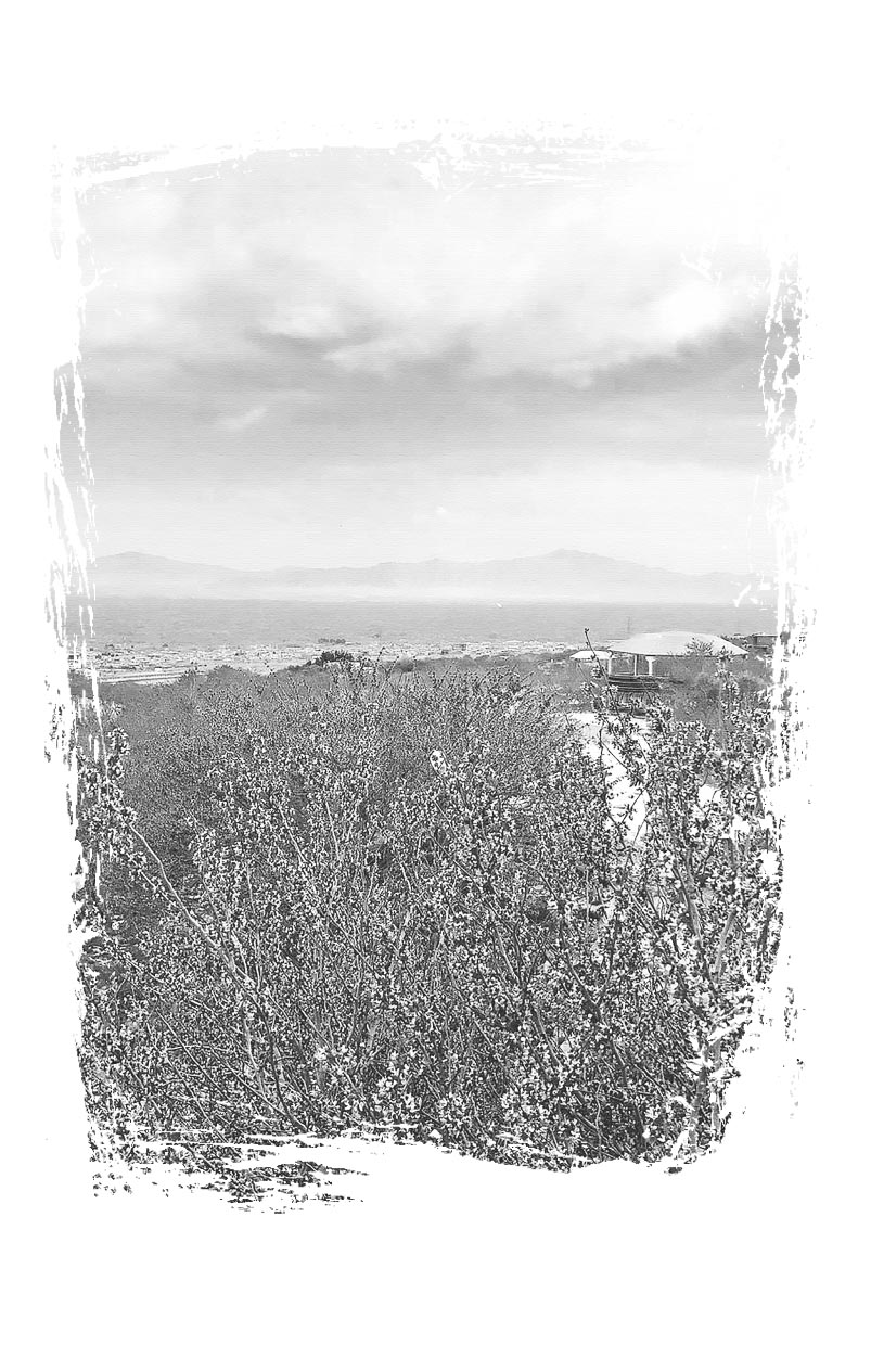 Война и вера. Автор: . Издательство "Вольный Странник"