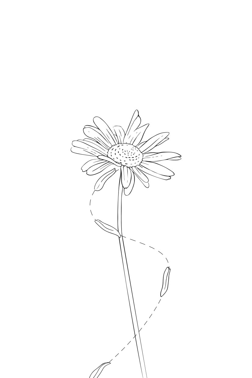 Любовь – это.... Автор: Григорий и Анастасия Сайфуллины. Издательство "Вольный Странник"