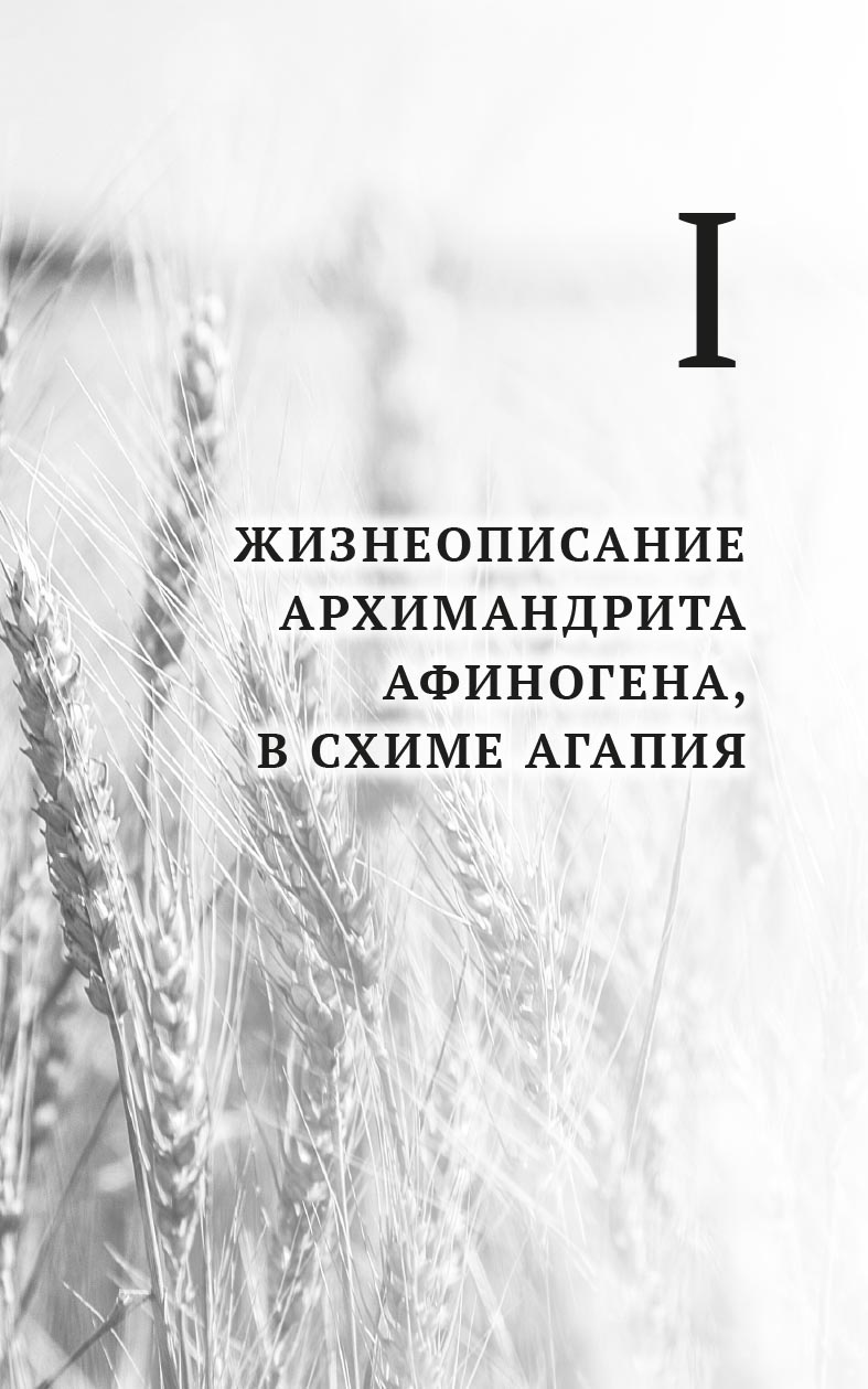 "Я - жив…". Архимандрит Афиноген (Агапов). Диакон Георгий Малков. Автор: . Издательство "Вольный Странник"