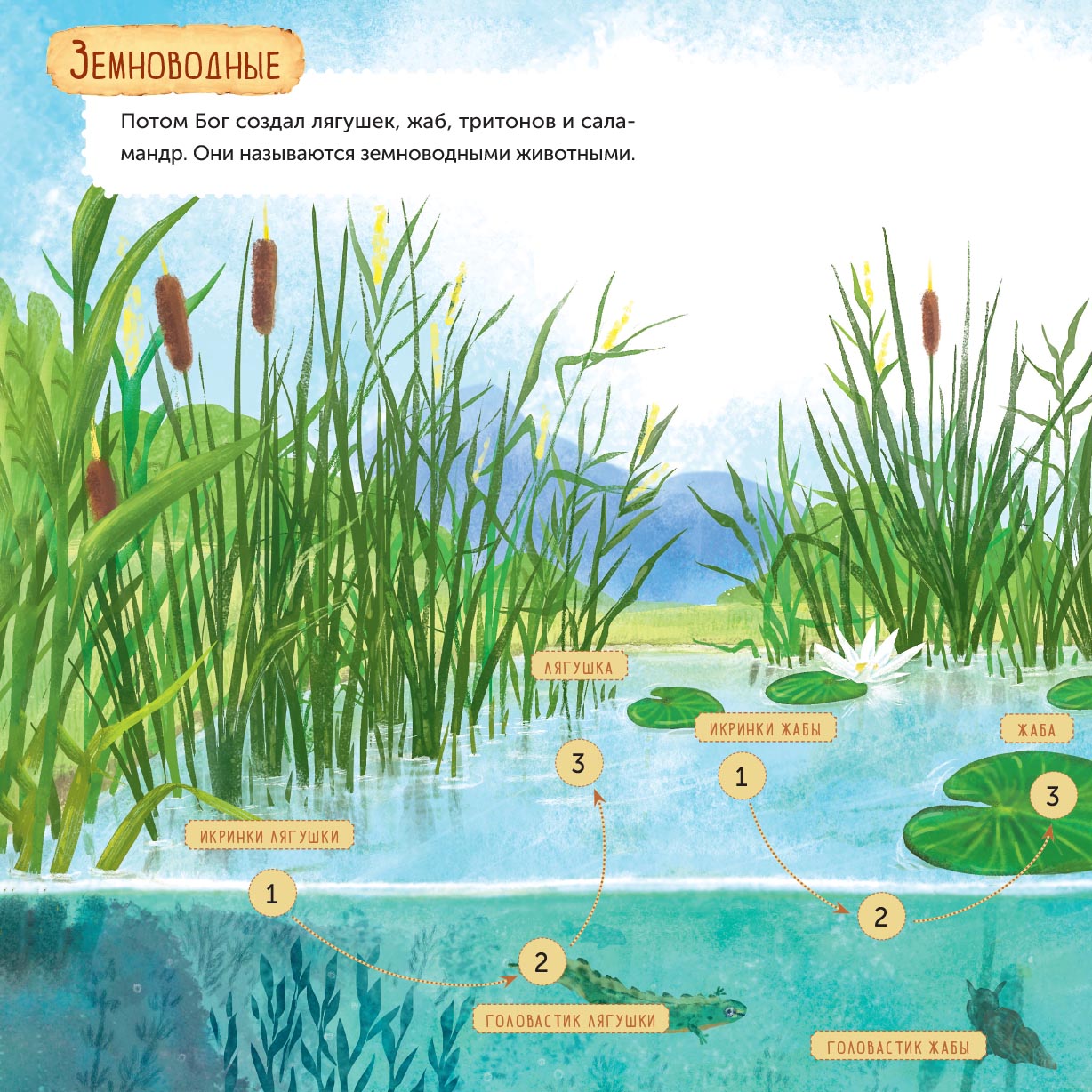 Дни творения. Книга с наклейками.. Автор: Татьяна Копяткевич . Издательство "Вольный Странник"