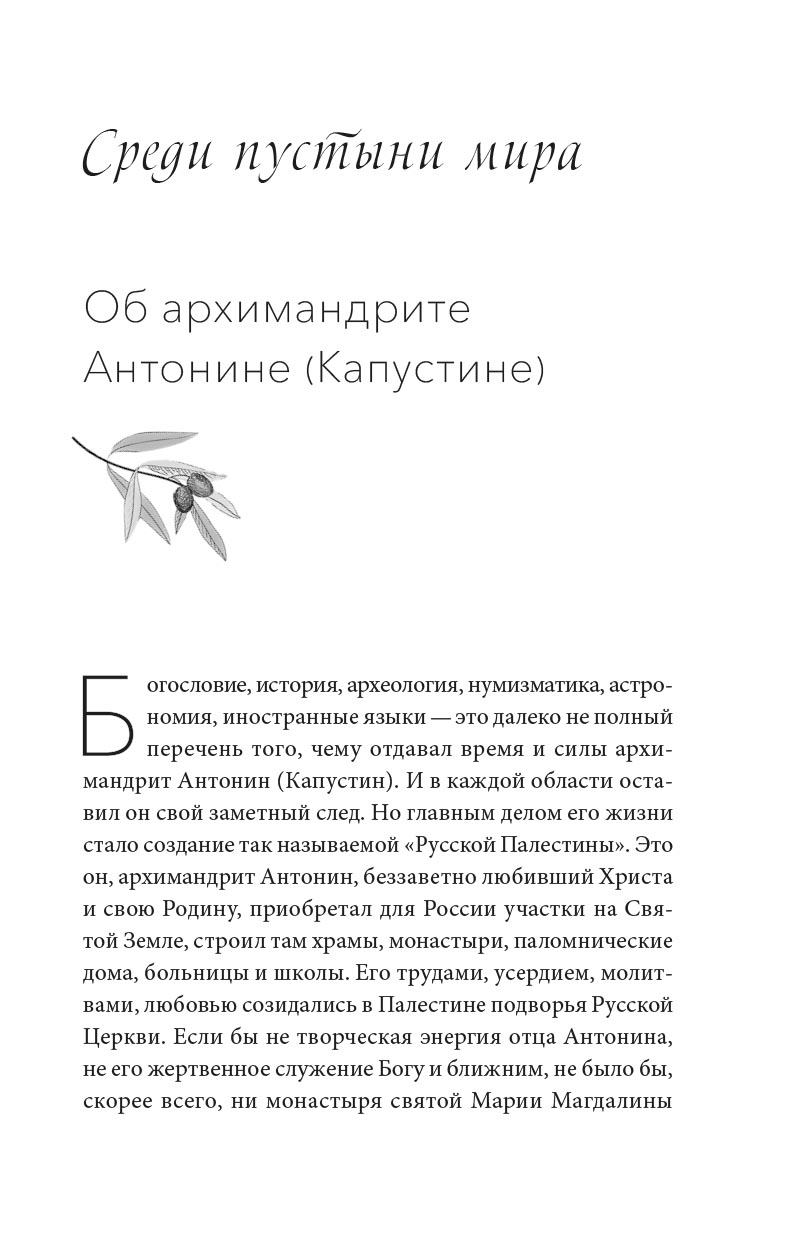 Примиритесь с Богом! Беседы на Святой Земле. Архимандрит Антонин (Капустин). Автор: архимандрит Антонин (Капустин). Издательство "Вольный Странник"