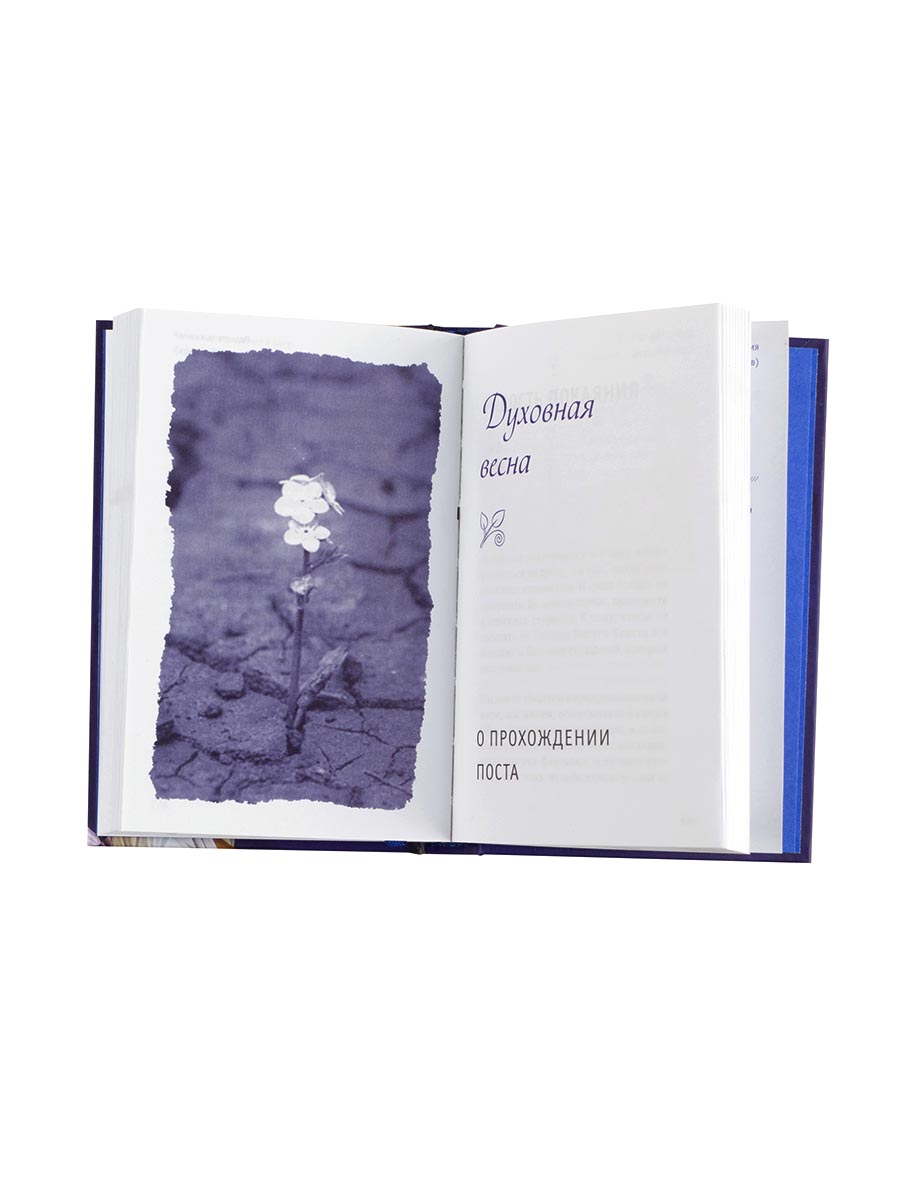 Радость покаяния. Митрополит Тихон (Шевкунов). Автор: Митрополит Тихон (Шевкунов). Издательство "Вольный Странник"