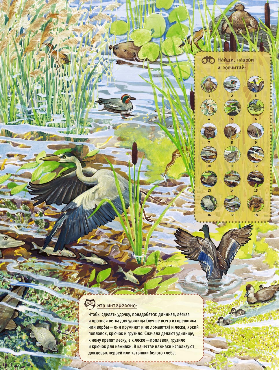 По лесным тропинкам. Автор: . Издательство "Вольный Странник"