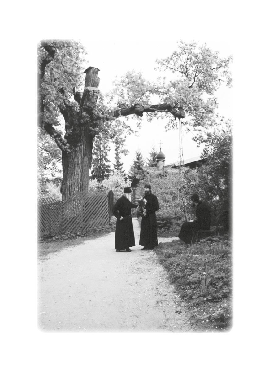 Беседы на Святой горке. Схииеродиакон Андроник (Шаруда). Автор: . Издательство "Вольный Странник"