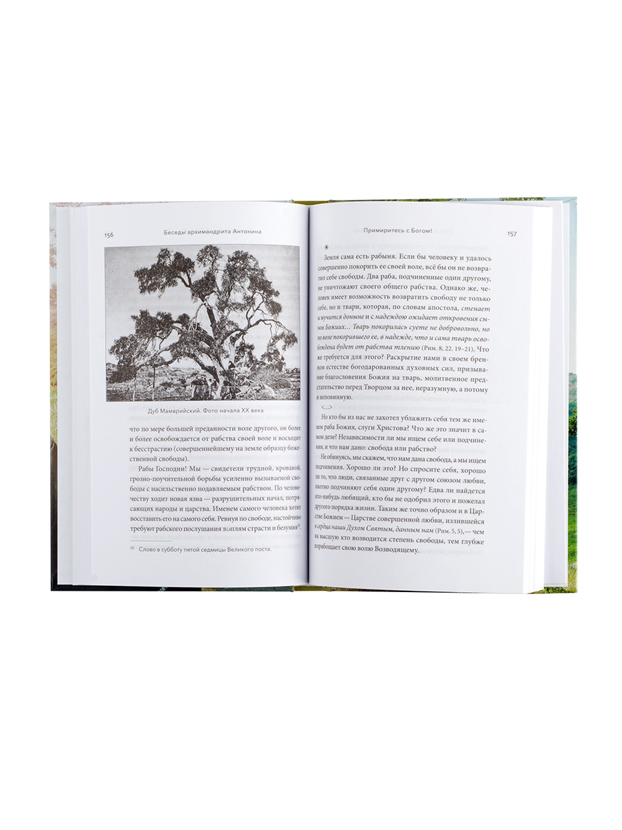 Примиритесь с Богом! Беседы на Святой Земле. Архимандрит Антонин (Капустин). Автор: архимандрит Антонин (Капустин). Издательство "Вольный Странник"