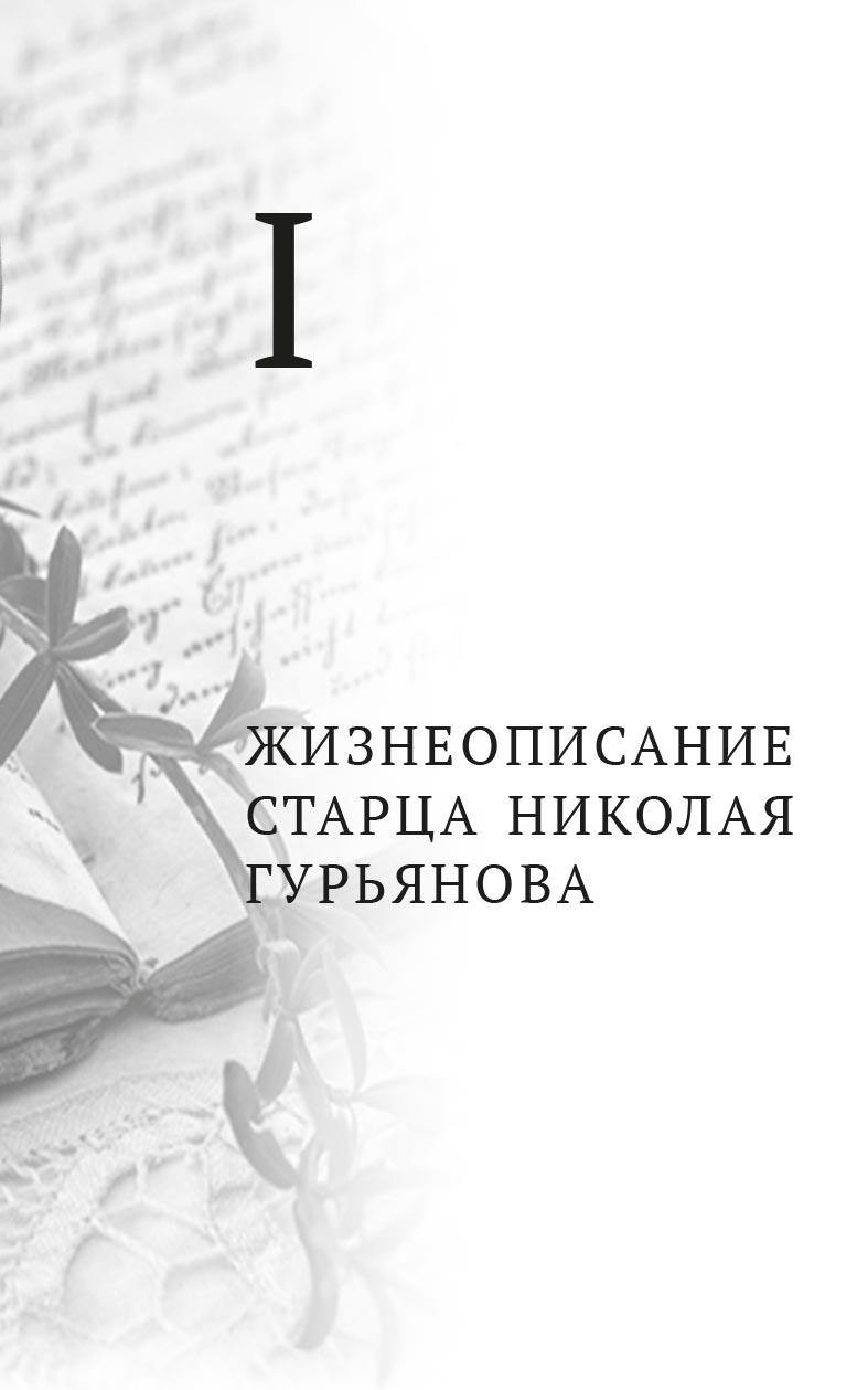 Святая простота. Старец Николай Гурьянов. Автор: Людмила Ильюнина. Издательство "Вольный Странник"